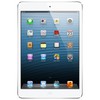 Apple iPad mini 16Gb Wi-Fi + Cellular белый - Брянск